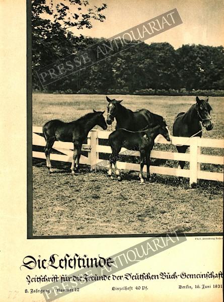 Die Lesestunde, 16.06.1931 bis 29.06.1931